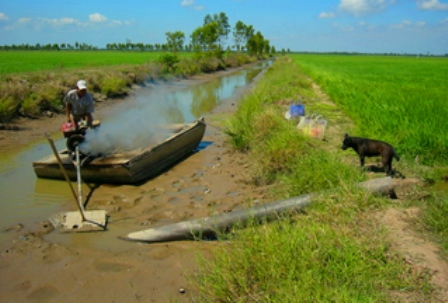 Hậu[-]Giang[-]chủ[-]động[-]đối[-]phó[-]với[-]tình[-]trạng[-]xâm[-]nhập[-]mặn